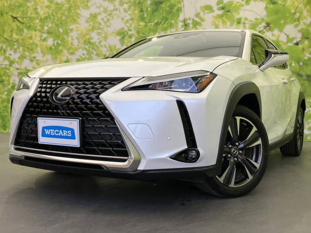 UX250h バージョンC