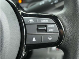 ◆アダプティブクルーズコントロール◆予め設定した車速内でクルマが自動的に加減速。前走車との適切な車間距離を維持しながら追従走行します。【LKAS】車線維持支援システムでステアリング操作を支援。
