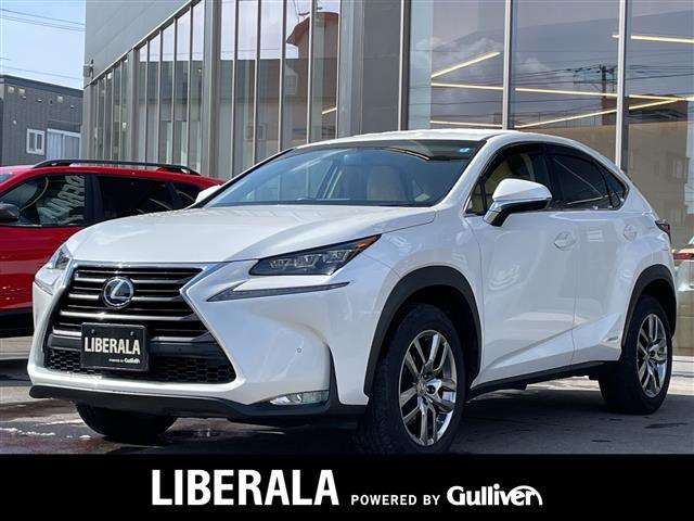 NX 300h Iパッケージ 4WD 本革シート（DAA-AYZ15）