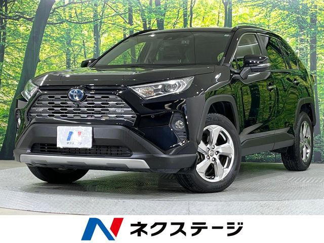 RAV4 2.5 ハイブリッド G E-Four 4WD （6AA-AXAH54）