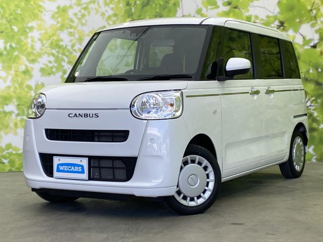 ムーヴキャンバスセオリー X