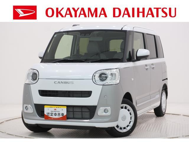 ムーヴキャンバス  ストライプス G