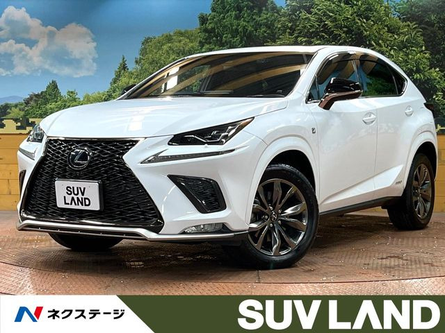 NX300h Fスポーツ
