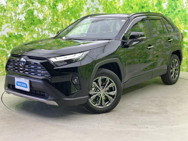 RAV4 2.5 ハイブリッド G E-Four 4WD （6AA-AXAH54）