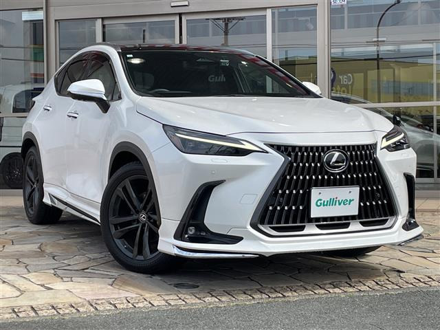 NX250 バージョンL本革シート 修復歴無し