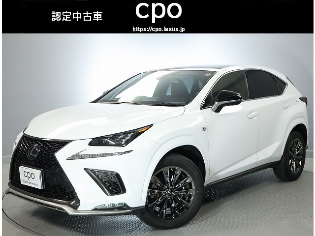 NX300クール&ブライト