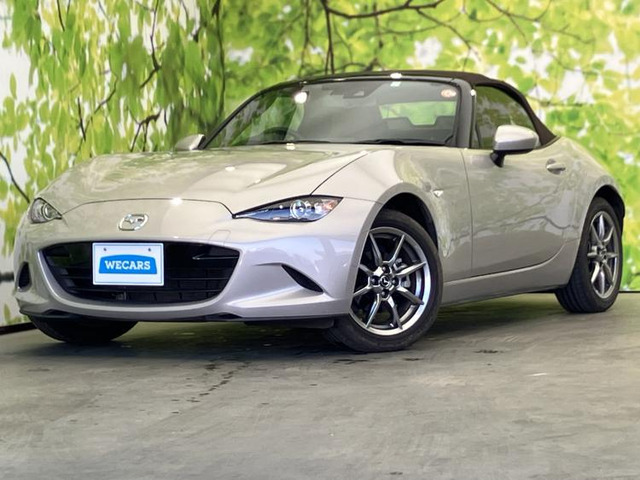 ロードスター 1.5 ブラウン トップ 