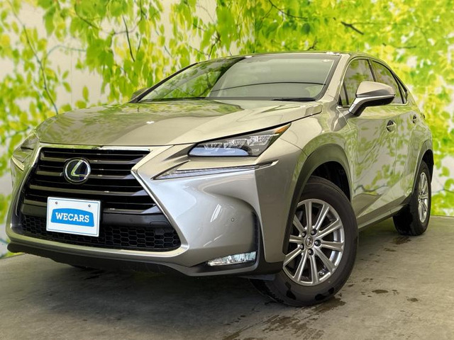 NX300h Iパッケージ