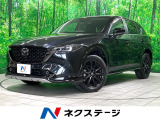禁煙車 純正10型ナビ 全周囲カメラ 衝突軽減装置 レーダークルーズ