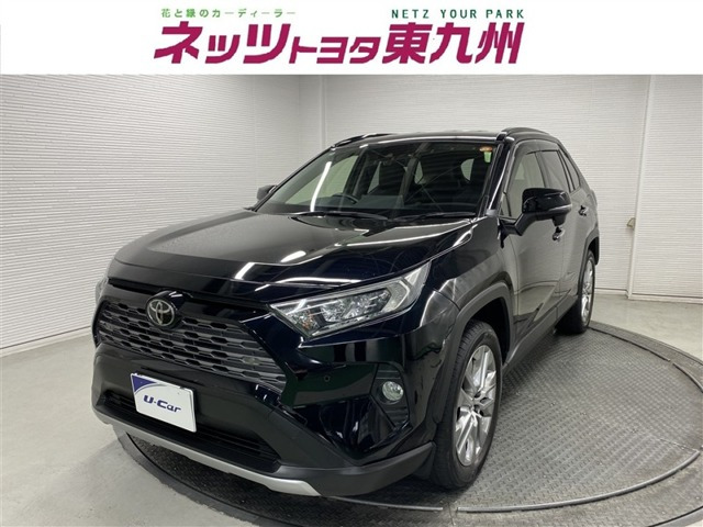 RAV4 2.0 G Zパッケージ 4WD（6BA-MXAA54）