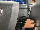 高速走行時に便利な追従型クルーズコントロールのスイッチです。
