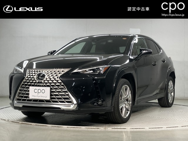 UX 250h グレイスフル エクスプローラー 