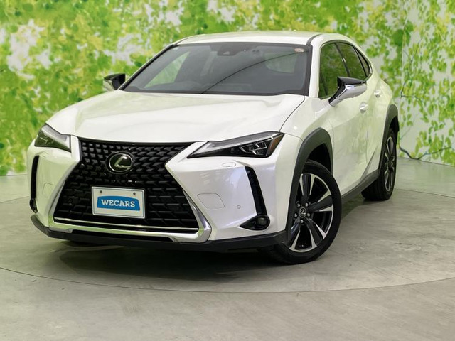 UX250h バージョンL