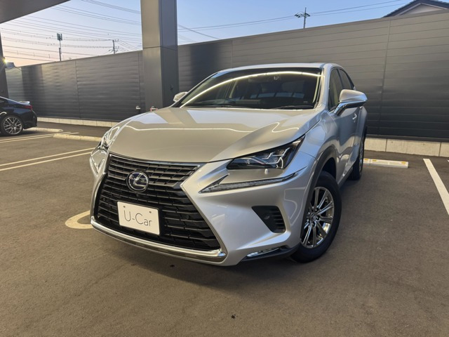 NX 300h Iパッケージ 