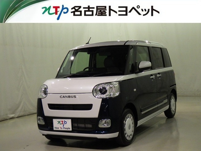 ムーヴキャンバス  ストライプス G