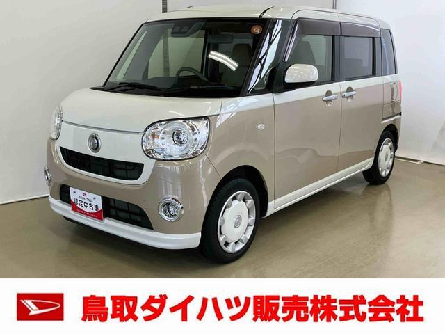 ムーヴキャンバス G SAIII