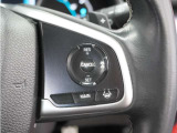◆アダプティブクルーズコントロール◆予め設定した車速内でクルマが自動的に加減速。前走車との適切な車間距離を維持しながら追従走行します。【LKAS】車線維持支援システムでステアリング操作を支援。