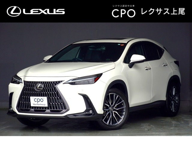 NX 350h バージョンL （6AA-AAZH20）