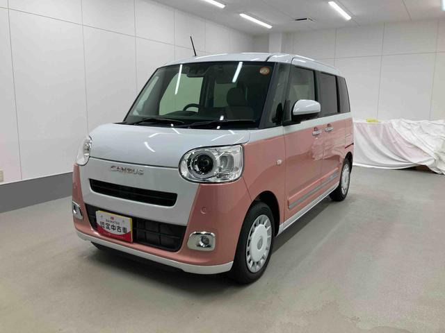 ムーヴキャンバス  ストライプス G