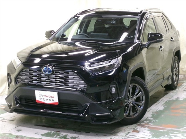 RAV4 2.5 ハイブリッド G E-Four 4WD （6AA-AXAH54）