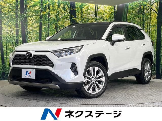 RAV4 2.0 G Zパッケージ 4WD （6BA-MXAA54）