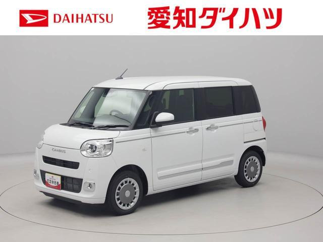 ムーヴキャンバス  セオリー G