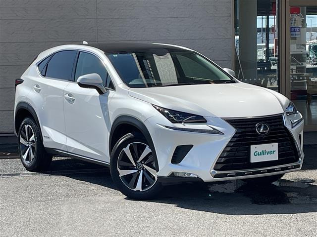 NX 300h バージョンL 4WD 本革シート