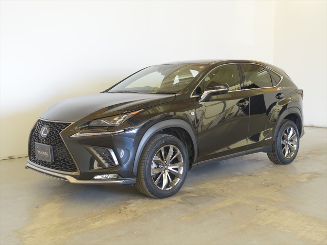 NX 300h Fスポーツ