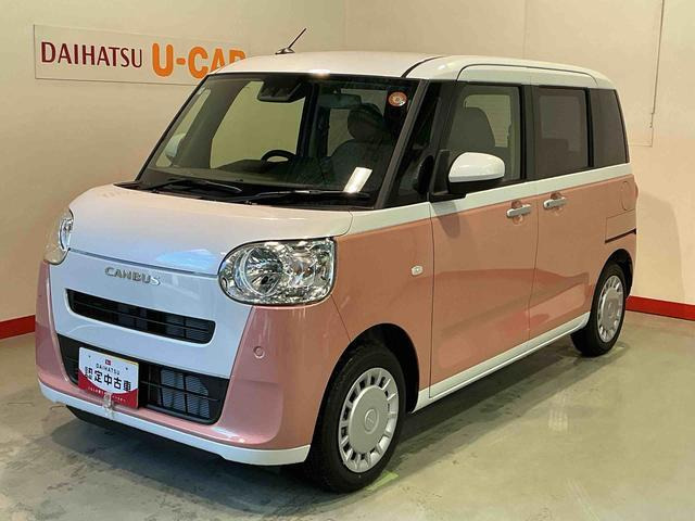 ムーヴキャンバス  ストライプス X