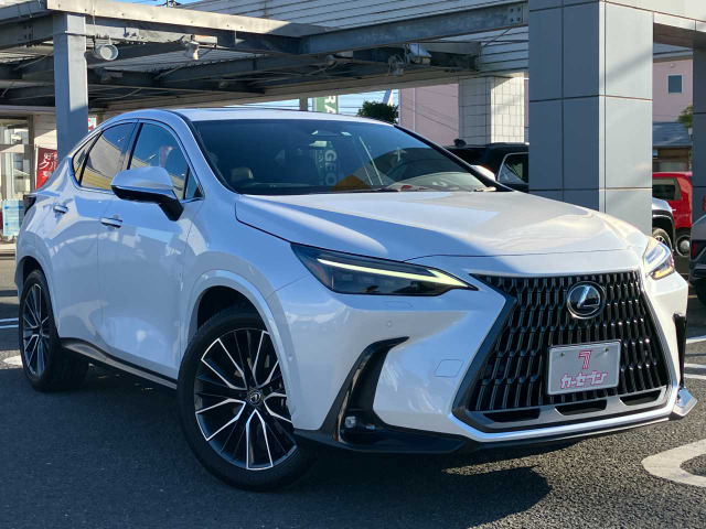 NX 350h バージョンL （6AA-AAZH20）