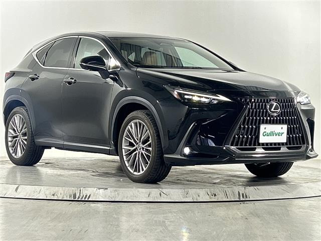 NX 250 バージョンL 本革シート サンルーフ（5BA-AAZA20）