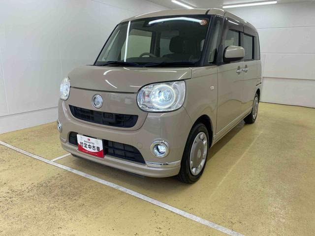 ムーヴキャンバス G メイクアップ SAII 