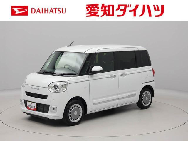 ムーヴキャンバス  セオリー G