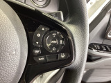 クルーズコントロールを装備しています。高速道路などで一定の速度で走ってくれるので運転が楽ですよ!速度を設定できますので、スピードの出しすぎにも注意できます。