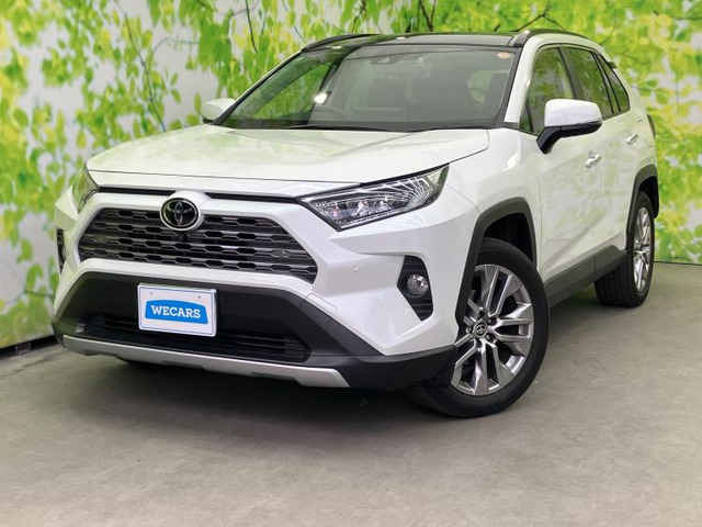 RAV4 2.0 G Zパッケージ 4WD