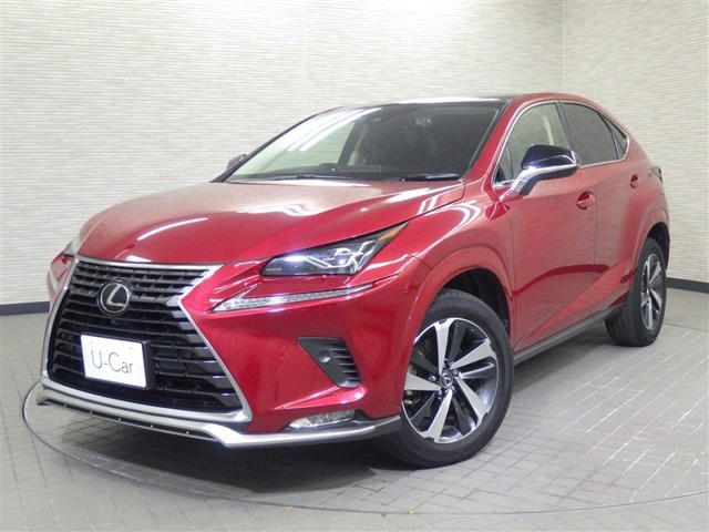 NX 300 スパイス&シック