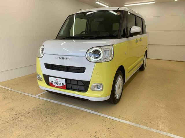 ムーヴキャンバス  ストライプス G