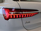 LEDリヤコンビネーションライト ダイナミックインディケーター