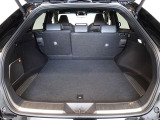 5人乗車時でも十分なスペースのトランクルームです。