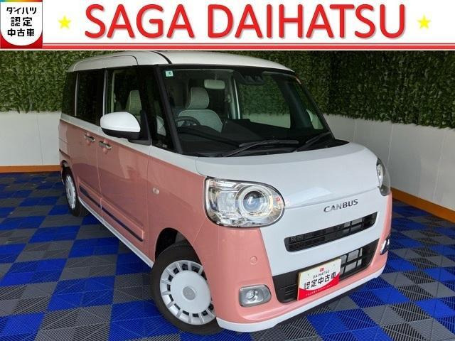 ムーヴキャンバス  ストライプス G