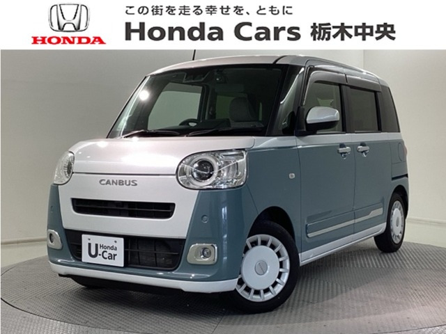 ムーヴキャンバス  ストライプス G