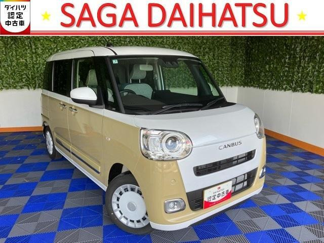 ムーヴキャンバス  ストライプス G