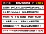エルグランド 2.5 250ハイウェイスター 東京オートサロン出展予定車両