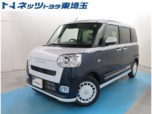 ムーヴキャンバス  ストライプス G