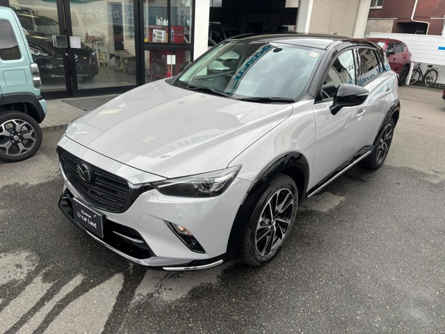 CX-31.8 XD ビビッド モノトーン