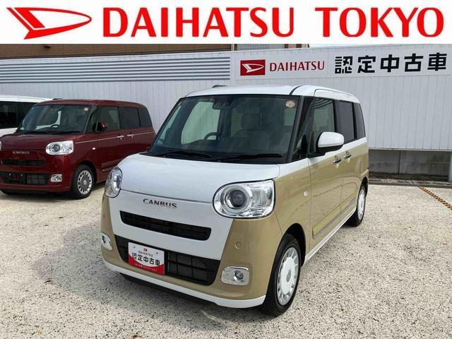 ムーヴキャンバス  ストライプス G