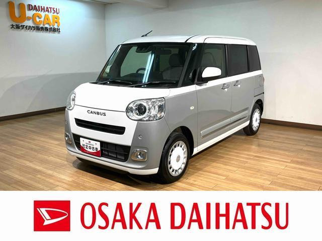 ムーヴキャンバス  ストライプス G