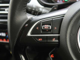 ステアリングスイッチ付き。前方から目を離すことなく操作することが可能です。
