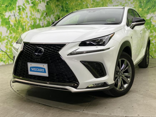 NX300h Fスポーツ