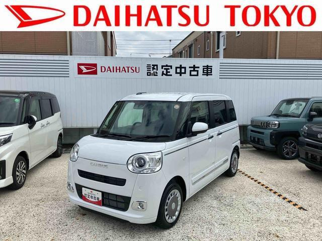 ムーヴキャンバス  セオリー G